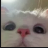 avatar little kitten