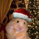 avatar 🐾 ℳ 🐾