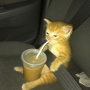 avatar ₭ ₳ ₮ ₳ ₦ ₳