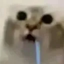 0xsendo.