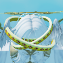 avatar 𝕣𝕒𝕟𝕕𝕠𝕞𝕚𝕫𝕖𝕕𝕘𝕠𝕠𝕓𝕖𝕣