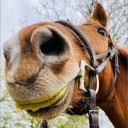 avatar SoLongGayBowsah