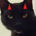 satyzin