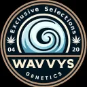 wavvys