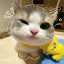 _onlyweknow