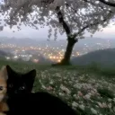 moopymochie