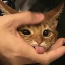 kikmilena