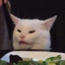 avatar Lachbrötchen