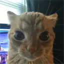 Аватар wildyyyy