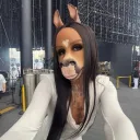 304karnivore