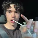 thereitgoose