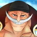 lojadokami