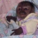 avatar Genie ☆ ୨ৎ