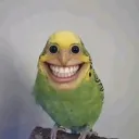 yesimdarling