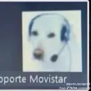 raul.6529