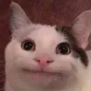 Аватар dima_ok