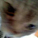 kuatyw