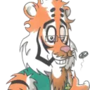 wildirishcat9255
