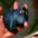 avatar prop_necefhed