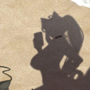 avatar 𝕬𝖉𝖊𝖓𝖆𝖚𝖊𝖗