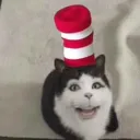 chucklestheknuckles
