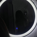 avatar 𝒔𝒄𝒉𝒂𝒓