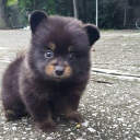 avatar 𝔸𝕋𝔼ℕ𝔼𝔸❔🤍(D)