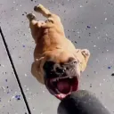 deadbeatvillain