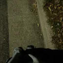 catpoggers