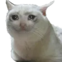 wanjoh1