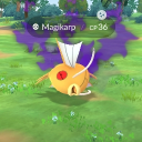 avatar Yuuta's Magikarp