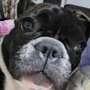 avatar [52]ДерзкийRAF