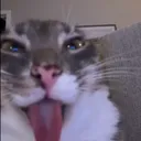 oscarlg99