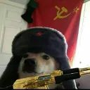 doggo_dutchman