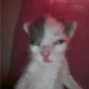 avatar Кириешки