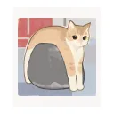 igatoo___