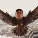 peregrinetv