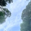 sdg_28