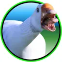 goose0969