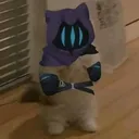 luigui15