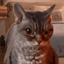 avatar catnip everdeen