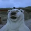 tyler.ondc