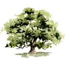 oak_cal