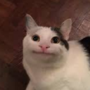avatar akila