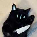 avatar akila