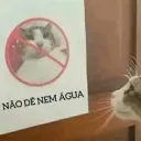 ramoscao