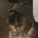 migbs0 avatar
