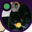 5589713 avatar