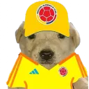 toxic_halamadrid