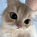 avatar Jillian ⨾ଓ